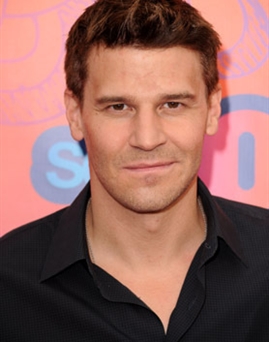 Diễn viên David Boreanaz